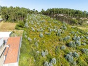 Terreno R�stico - Nogueira da Regedoura, Santa Maria da Feira, Aveiro - Miniatura: 3/9
