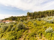 Terreno R�stico - Nogueira da Regedoura, Santa Maria da Feira, Aveiro - Miniatura: 5/9