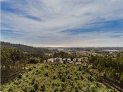 Terreno R�stico - Nogueira da Regedoura, Santa Maria da Feira, Aveiro - Miniatura: 7/9