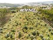 Terreno R�stico - Nogueira da Regedoura, Santa Maria da Feira, Aveiro - Miniatura: 8/9