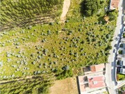Terreno R�stico - Nogueira da Regedoura, Santa Maria da Feira, Aveiro - Miniatura: 9/9