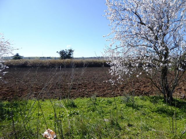 Prédio T0 - Beja, Beja, Beja - Imagem grande