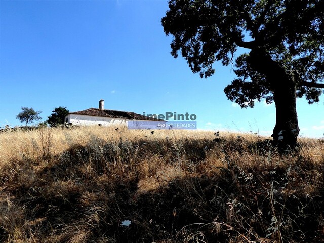 Terreno Rústico - Castro Verde, Castro Verde, Beja - Imagem grande