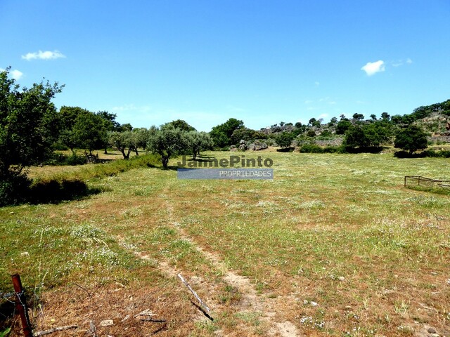 Quinta - Escalhão, Figueira de Castelo Rodrigo, Guarda - Imagem grande