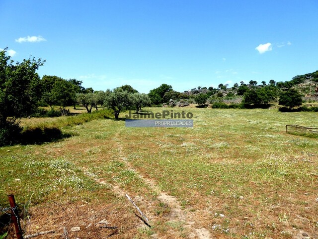 Quinta - Escalho, Figueira de Castelo Rodrigo, Guarda - Imagem grande