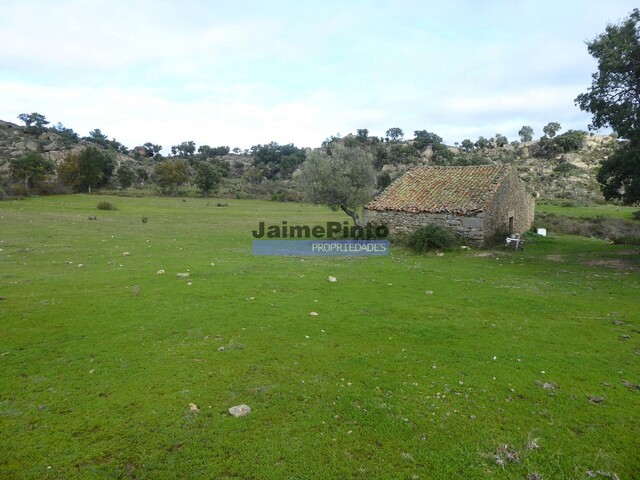 Quinta - Escalho, Figueira de Castelo Rodrigo, Guarda - Imagem grande