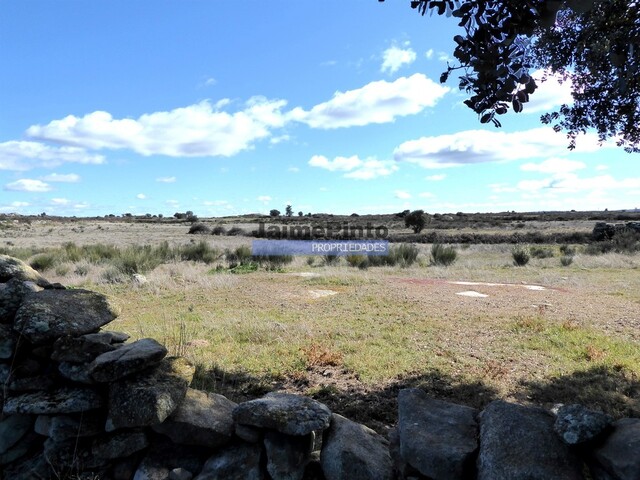 Terreno R�stico - Figueira de Castelo Rodrigo, Figueira de Castelo Rodrigo, Guarda - Imagem grande