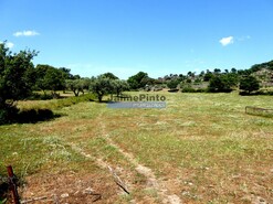 Quinta - Escalh�o, Figueira de Castelo Rodrigo, Guarda
