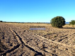 Terreno Rstico - Figueira de Castelo Rodrigo, Figueira de Castelo Rodrigo, Guarda