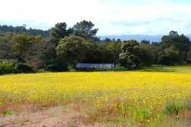 Quinta T3 - Lajeosa do Mondego, Celorico da Beira, Guarda