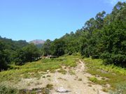 Moradia T2 - Monte, Terras de Bouro, Braga - Miniatura: 4/8