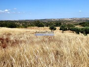 Terreno Rstico - Castro Verde, Castro Verde, Beja - Miniatura: 6/7