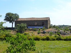 Quinta - Escalho, Figueira de Castelo Rodrigo, Guarda - Miniatura: 6/9