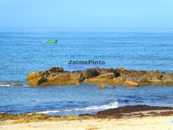 Apartamento T3 - Apulia, Esposende, Braga - Miniatura: 5/9