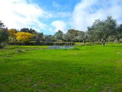 Quinta - Escalho, Figueira de Castelo Rodrigo, Guarda - Miniatura: 5/8