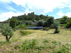 Terreno Urbano - Calheiros, Ponte de Lima, Viana do Castelo - Miniatura: 3/7