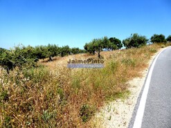 Terreno R�stico - Escalh�o, Figueira de Castelo Rodrigo, Guarda - Miniatura: 8/9