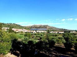 Quinta T3 - Lajeosa do Mondego, Celorico da Beira, Guarda - Miniatura: 2/7
