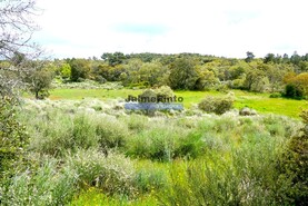 Quinta T3 - Lajeosa do Mondego, Celorico da Beira, Guarda - Miniatura: 4/7