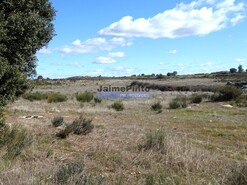 Terreno R�stico - Figueira de Castelo Rodrigo, Figueira de Castelo Rodrigo, Guarda - Miniatura: 3/6