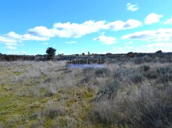 Terreno R�stico - Figueira de Castelo Rodrigo, Figueira de Castelo Rodrigo, Guarda - Miniatura: 4/6