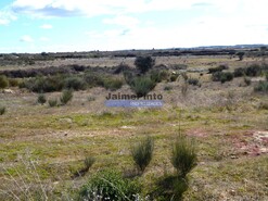 Terreno R�stico - Figueira de Castelo Rodrigo, Figueira de Castelo Rodrigo, Guarda - Miniatura: 5/6