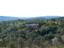 Quinta - Almod�var, Almod�var, Beja - Miniatura: 2/7