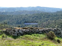 Quinta - Almod�var, Almod�var, Beja - Miniatura: 3/7