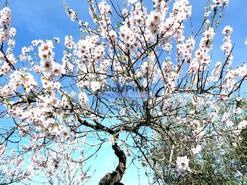 Moradia T4 - Escalh�o, Figueira de Castelo Rodrigo, Guarda - Miniatura: 4/9