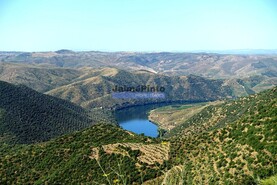 Moradia T4 - Escalh�o, Figueira de Castelo Rodrigo, Guarda - Miniatura: 5/9