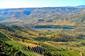 Moradia T4 - Escalh�o, Figueira de Castelo Rodrigo, Guarda - Miniatura: 8/9