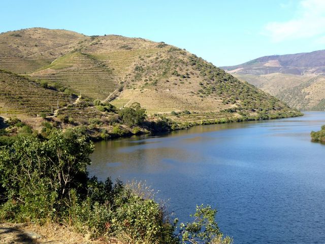 Quinta - Douro Superior, Vila Nova de Foz C�a, Guarda - Imagem grande