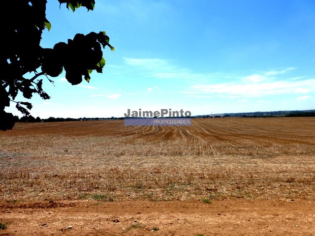 Quinta - Almeida, Almeida, Guarda - Imagem grande
