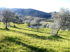 Terreno R�stico - Alfadega da F�, Alf�ndega da F�, Bragan�a