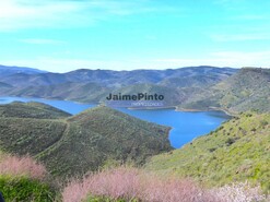 Terreno Rstico - Alfadega da F, Alfndega da F, Bragana