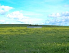 Terreno Rstico - Vermiosa, Figueira de Castelo Rodrigo, Guarda