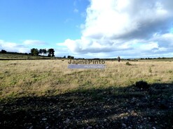 Terreno R�stico - Figueira de Castelo Rodrigo, Figueira de Castelo Rodrigo, Guarda