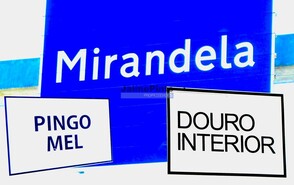 Terreno Rstico - Mirandela, Mirandela, Bragana