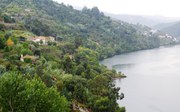 Terreno Urbano - Cinfes, Cinfes, Viseu - Miniatura: 1/3