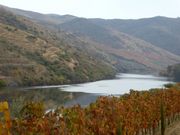 Quinta - Douro Superior, Vila Nova de Foz C�a, Guarda - Miniatura: 2/8