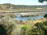 Terreno Rstico - Odelouca, Silves, Faro (Algarve) - Miniatura: 1/6