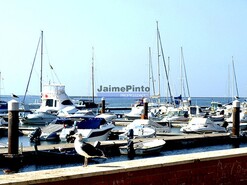 Terreno Urbano - Olh�o, Olh�o, Faro (Algarve) - Miniatura: 4/7