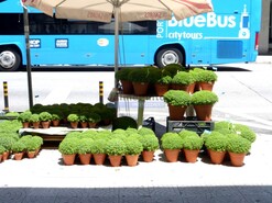 Terreno Urbano - Paranhos, Porto, Porto - Miniatura: 8/9