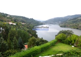 Moradia T3 - S�o Rom�o de Aregos, Resende, Viseu - Miniatura: 5/9