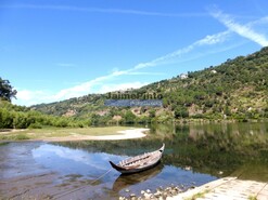 Moradia T3 - S�o Rom�o de Aregos, Resende, Viseu - Miniatura: 7/9
