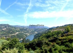 Moradia T3 - S�o Rom�o de Aregos, Resende, Viseu - Miniatura: 8/9