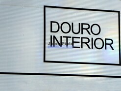 Terreno R�stico - Mirandela, Mirandela, Bragan�a - Miniatura: 9/9