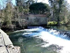 Terreno Urbano - Barroselas, Viana do Castelo, Viana do Castelo - Miniatura: 8/8