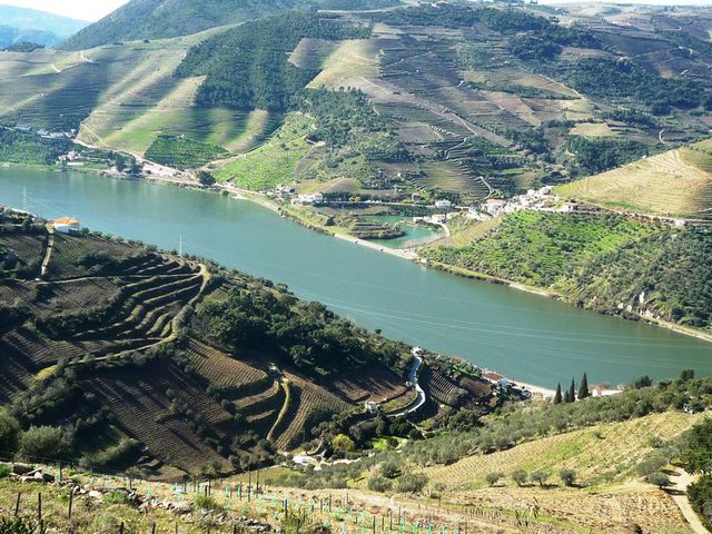 Terreno Rústico - Pinhão, Alijó, Vila Real - Imagem grande