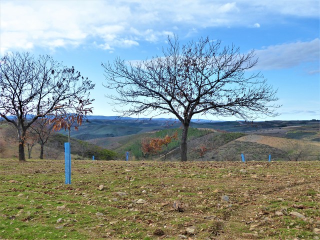 Quinta - Outeiro, Bragana, Bragana - Imagem grande